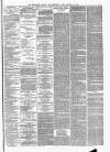 Wellington Journal Saturday 28 February 1880 Page 3