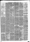 Wellington Journal Saturday 15 May 1880 Page 5