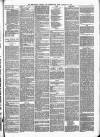 Wellington Journal Saturday 22 January 1881 Page 3