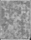 Wellington Journal Saturday 04 January 1890 Page 3