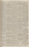 Western Gazette Saturday 18 June 1864 Page 3