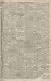 Western Gazette Friday 07 March 1873 Page 7