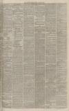 Western Gazette Friday 13 August 1875 Page 5