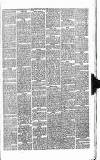 Western Gazette Friday 14 January 1876 Page 3