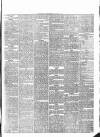 Western Gazette Friday 09 March 1877 Page 3
