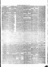 Western Gazette Friday 20 April 1877 Page 3