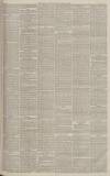 Western Gazette Friday 24 January 1879 Page 7