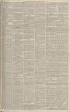 Western Gazette Friday 31 January 1879 Page 7