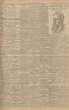 Western Gazette Friday 28 March 1902 Page 11