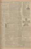 Western Gazette Friday 04 April 1902 Page 11