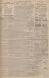 Western Gazette Friday 01 August 1902 Page 11