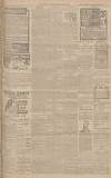Western Gazette Friday 06 March 1903 Page 11