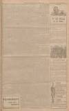 Western Gazette Friday 21 October 1904 Page 5