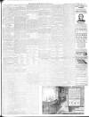 Western Gazette Friday 27 January 1911 Page 14