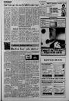 Western Gazette Friday 15 October 1982 Page 13
