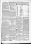 Dorset County Chronicle Thursday 28 January 1875 Page 17