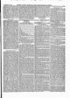 Dorset County Chronicle Thursday 25 December 1884 Page 13