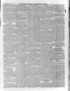 Dorset County Chronicle Thursday 24 January 1889 Page 13