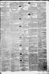 Sherborne Mercury Monday 03 March 1800 Page 3