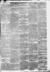 Sherborne Mercury Monday 26 May 1800 Page 3