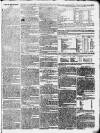 Sherborne Mercury Monday 11 January 1802 Page 3