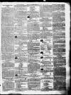 Sherborne Mercury Monday 05 September 1803 Page 3
