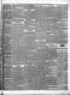 Windsor and Eton Express Saturday 13 March 1841 Page 3