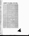 Windsor and Eton Express Saturday 07 November 1885 Page 5