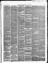 Herts Advertiser Saturday 12 June 1869 Page 3