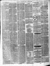 Herts Advertiser Saturday 19 September 1874 Page 3