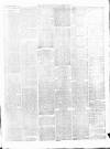 Herts Advertiser Saturday 20 February 1875 Page 3