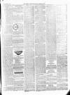 Herts Advertiser Saturday 03 April 1875 Page 3