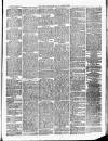 Herts Advertiser Saturday 01 January 1876 Page 3