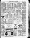 Herts Advertiser Saturday 11 November 1876 Page 9