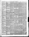 Herts Advertiser Saturday 03 March 1877 Page 7