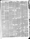 Herts Advertiser Saturday 24 March 1894 Page 7