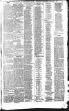 Cambridge Chronicle and Journal Saturday 08 July 1854 Page 10