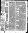 Kendal Mercury Saturday 23 April 1870 Page 3