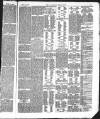 Kendal Mercury Saturday 11 June 1870 Page 5