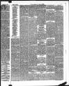 Kendal Mercury Saturday 17 May 1873 Page 3