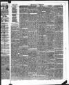 Kendal Mercury Saturday 07 June 1873 Page 3