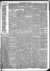 Kendal Mercury Saturday 19 December 1874 Page 3