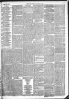 Kendal Mercury Saturday 26 December 1874 Page 3