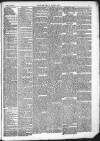 Kendal Mercury Saturday 20 February 1875 Page 3