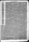 Kendal Mercury Saturday 20 March 1875 Page 3