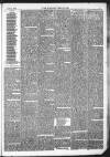 Kendal Mercury Saturday 08 January 1876 Page 3