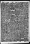 Kendal Mercury Saturday 22 January 1876 Page 3