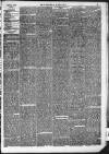 Kendal Mercury Saturday 03 June 1876 Page 3