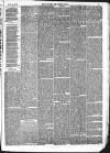 Kendal Mercury Saturday 14 October 1876 Page 3