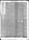 Kendal Mercury Saturday 27 January 1877 Page 5